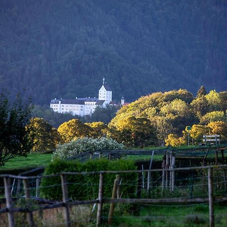 Ferienwohnungen Erlebnisnaturhof Aschau im Chiemgau Exterior photo