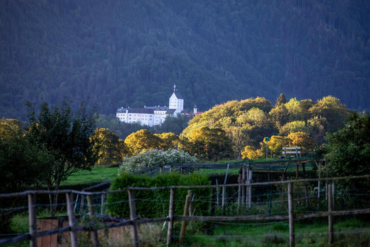 Ferienwohnungen Erlebnisnaturhof Aschau im Chiemgau Exterior photo